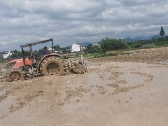 仙居县皤滩乡板桥村建设用地复垦项目